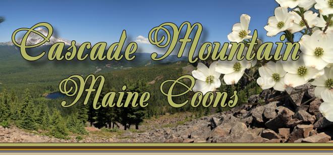 Cascade Mountain Maine Coons